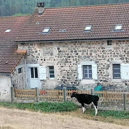 Gite A La Ferme Le Malzieu-Ville Dış mekan fotoğraf