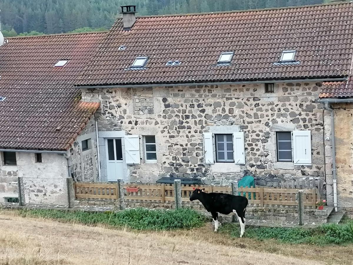 Gite A La Ferme Le Malzieu-Ville Dış mekan fotoğraf