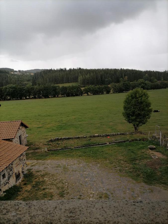 Gite A La Ferme Le Malzieu-Ville Dış mekan fotoğraf