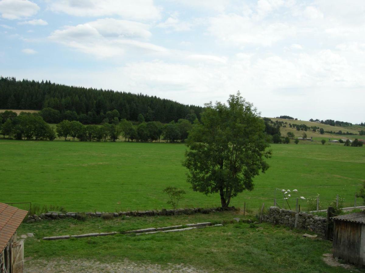 Gite A La Ferme Le Malzieu-Ville Dış mekan fotoğraf